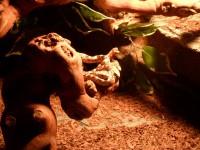 /album/fotogalerie/sam-0759-jpg/