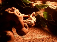/album/fotogalerie/sam-0760-jpg/
