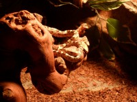 /album/fotogalerie/sam-0761-jpg/