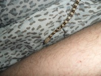 /album/fotogalerie/sam-0807-jpg/