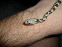 /album/fotogalerie/sam-0815-jpg/
